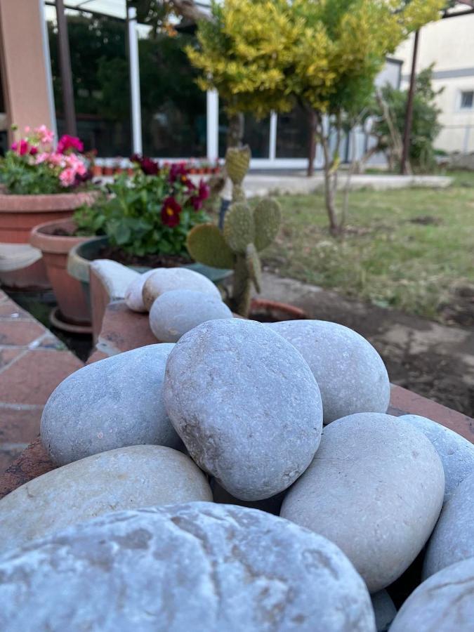 Curani House Lägenhet Ulcinj Exteriör bild